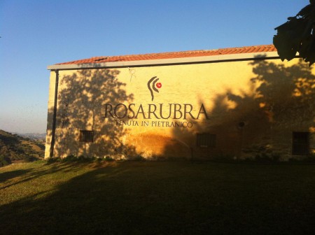 59-rosarubra-2.jpeg