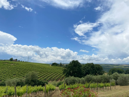 77-podere.png