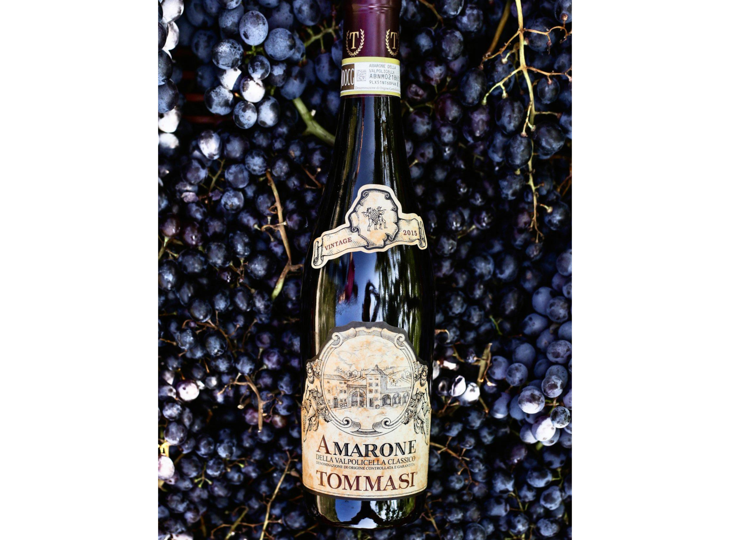 Amarone della Valpolicella Classico | VinoItalia
