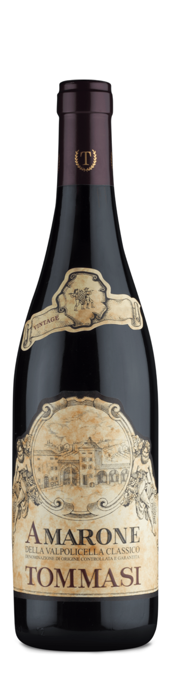 Amarone della Valpolicella Classico | VinoItalia