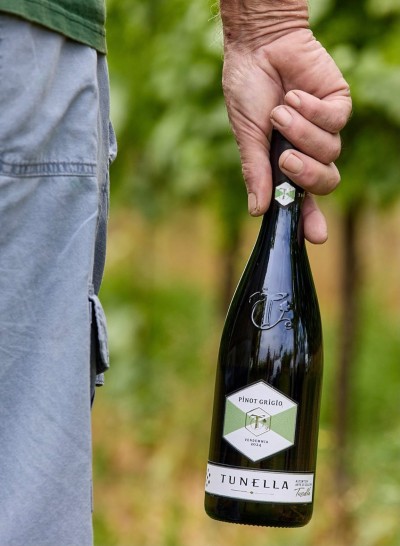Pinot Grigio