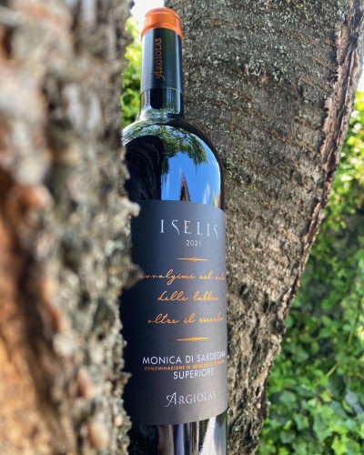 Iselis Monica di Sardegna