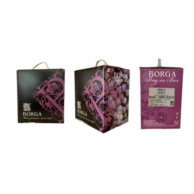 Set 2 Bag in Box Merlot Roșu Demidulce 5 L