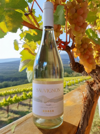 Sauvignon IGT Trevenezie