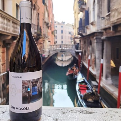 Chardonnay DOC VENEZIA 2022