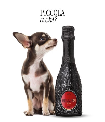 Blanc de Noir Brut 375 ML