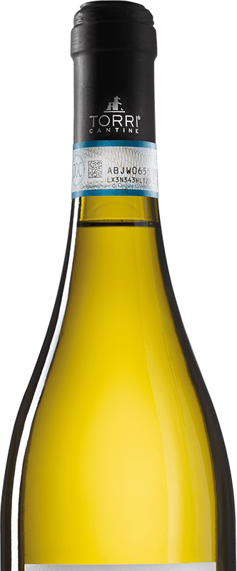Pecorino 420 Abruzzo DOC
