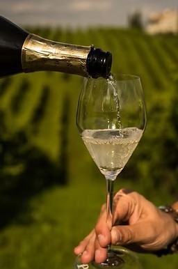 Asolo Prosecco Brut DOCG