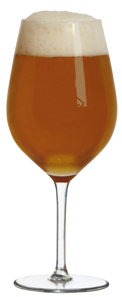 Birra Ribo