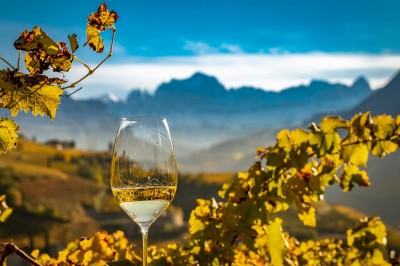 Pinot Bianco DOC