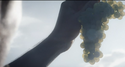 Gewürztraminer DOC