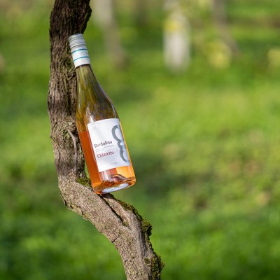 Chiaretto DOC