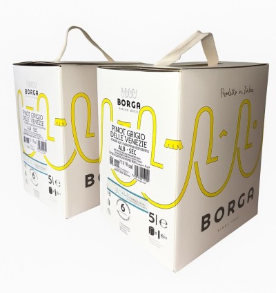 Set 2 Bag in Box Pinot Grigio Alb Sec 5 L