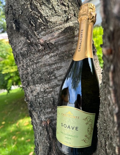 Casalforte soave DOC
