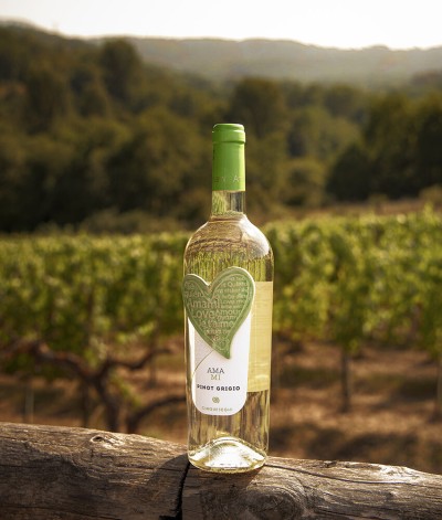 Pinot Grigio IGP AMAMI