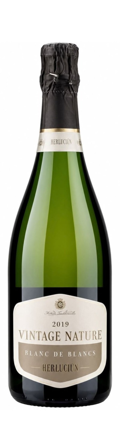 Franciacorta Vintage Nature Blanc de Blancs - 0.75 L