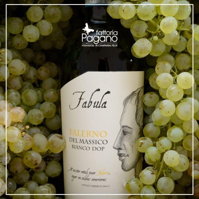 Fabula Falerno del Massico Bianco - 1.5 L