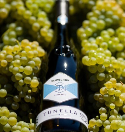 Sauvignon - 1.5 L