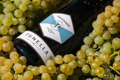 Sauvignon - 1.5 L