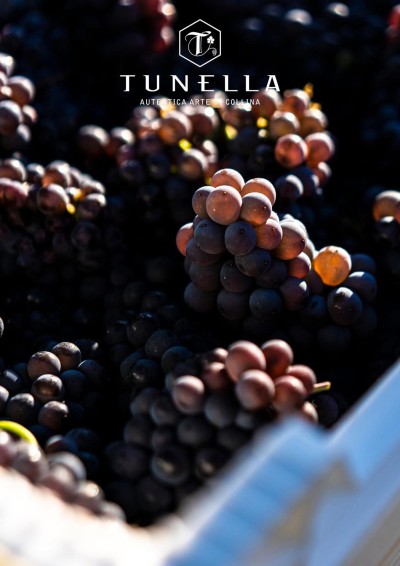 Cabernet Sauvignon - 1.5 L