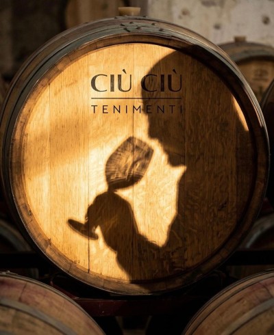 Montepulciano Marche Oppidum - 1.5 L