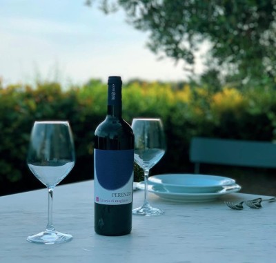 Syrah PERENZO (cutie) - 1.5 L