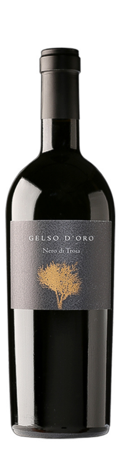 Gelso d'Oro Nero di Troia